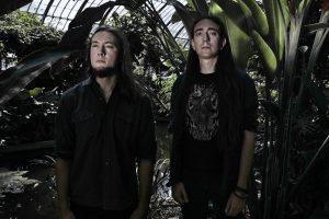 Read more about the article ALCEST announce new album “Spiritual Instinct”