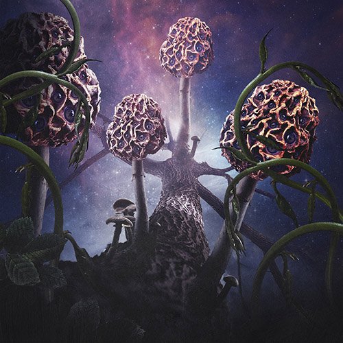 Read more about the article Blut Aus Nord – Hallucinogen