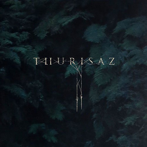 Read more about the article Thurisaz – Re-Incentive