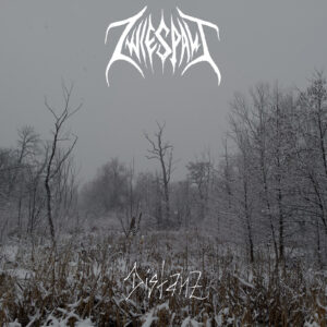 Read more about the article ZWIESPALT released a new lyric video for the track “Frost”.