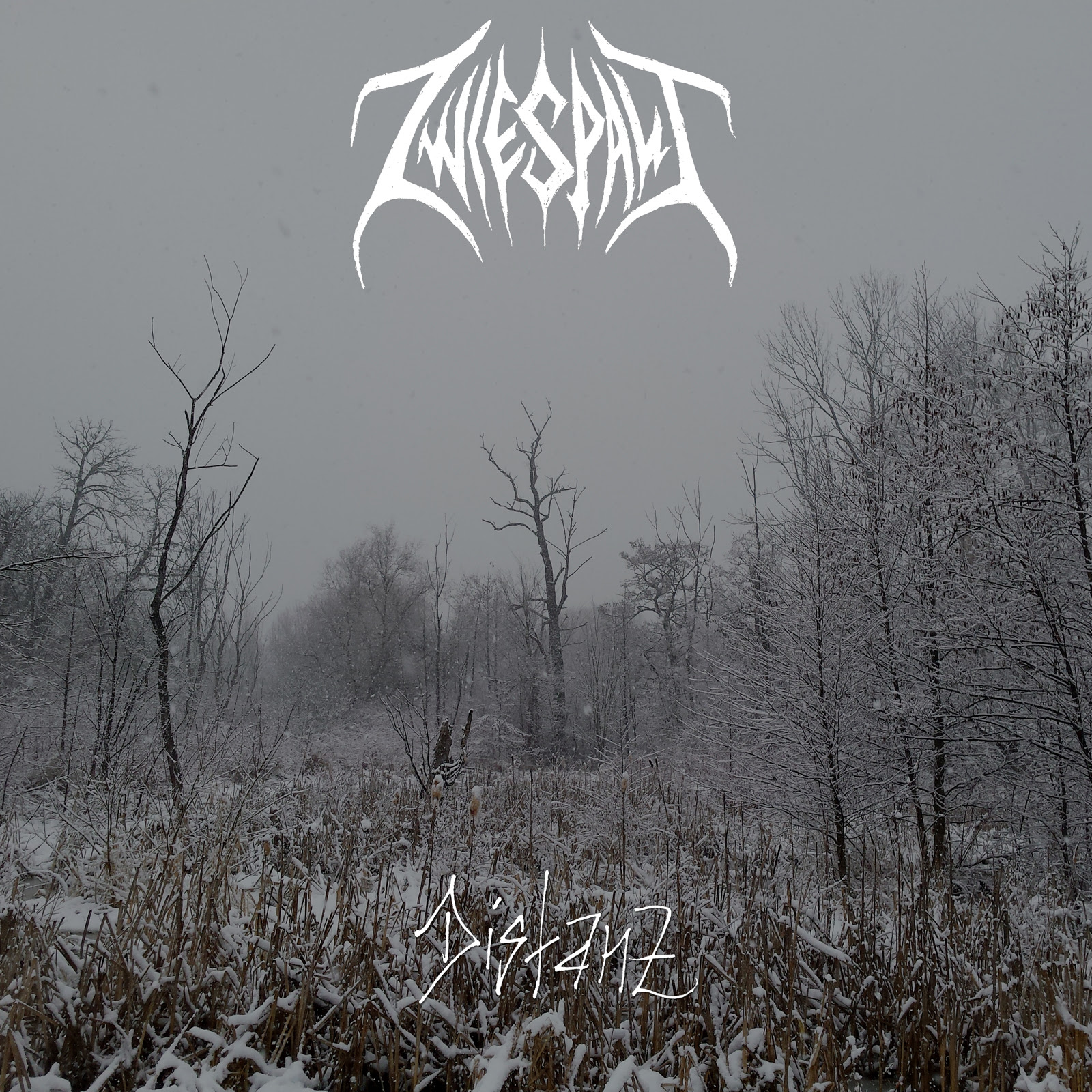 You are currently viewing ZWIESPALT released a new lyric video for the track “Frost”.