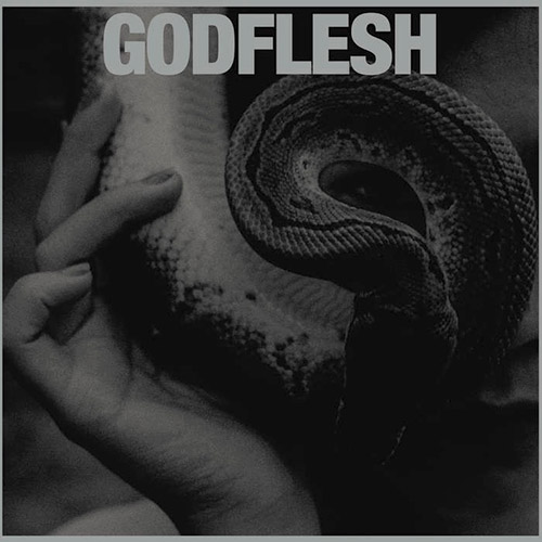 Read more about the article Godflesh – Purge